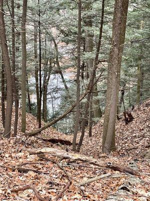 Overlooking private lake and old quarry from "Coyote's Den" trail