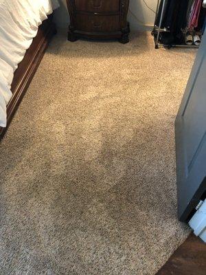 Final result of Sean working on my carpet , the smell is just amazing ! I can't belive it was stains and dirt and a bad smell before