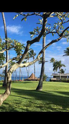 The gorgeous ocean view from our ground floor room. And there's The Gazebo in the middle!