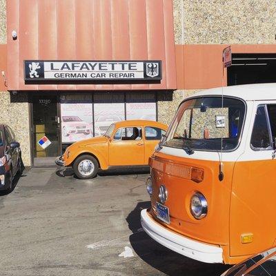 Old school orange VWs