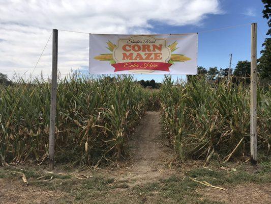 Free Corn Maze