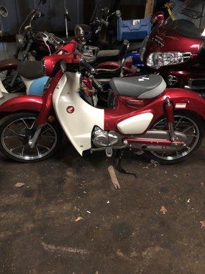 Honda Super Cub