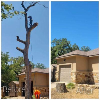 Cowboy Tree Service ATX