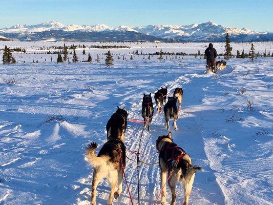 Outer Range Dogsled Tours