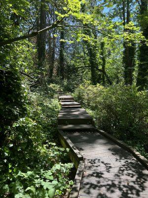 Trail to the lakes