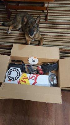 Quick ship, S&M'd out bike build! All the parts that I requested! Thanks Matt! Doggo approves