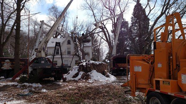 Baltimore Tree Experst removing  a fallen tree from a home