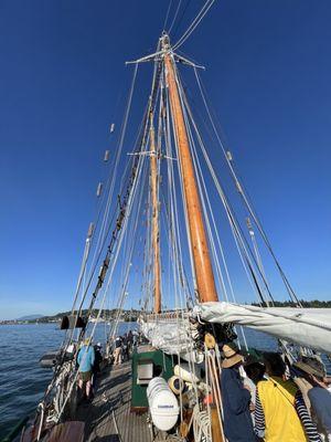 Schooner zodiac