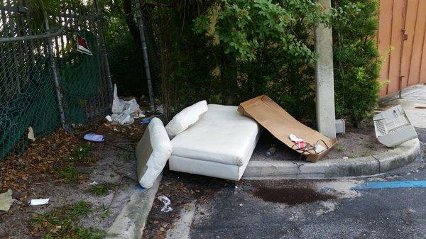 Illegal dumping of furniture!! Dumpsquad.com to the rescue! Call us if you need any type of debris removed