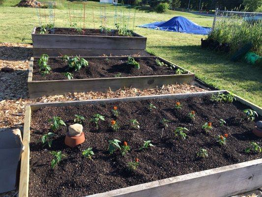 I think I ordered a yard too much! Beds full of dirt and happy plants with plenty left under my tarp