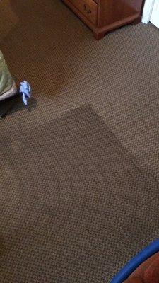 Chapple's Carpet Cleaning