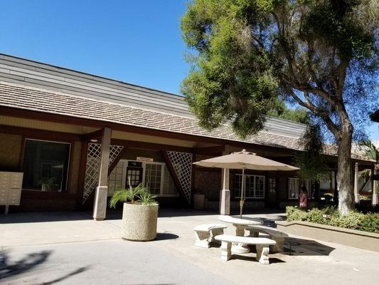 Peaceful outdoor benches in front of The Branch Network office.