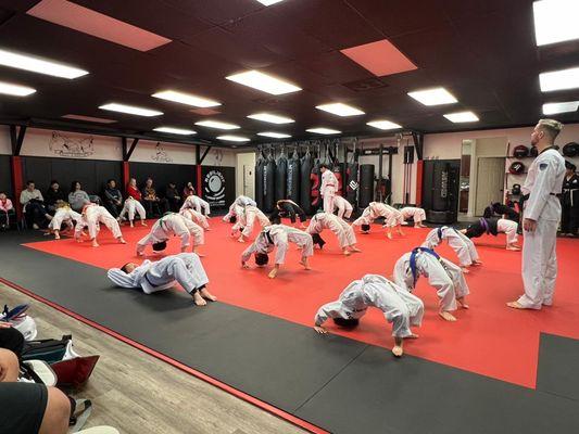 Taekwondo Classes