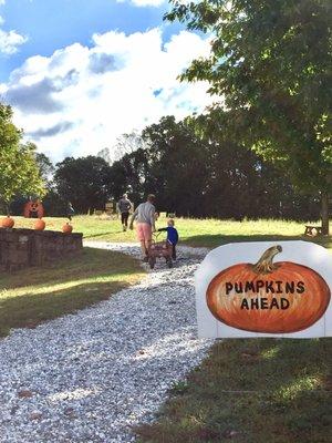 Headed to the pumpkin patch.