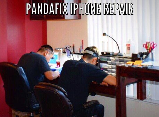 Panda team at work and ready for your appointment time.