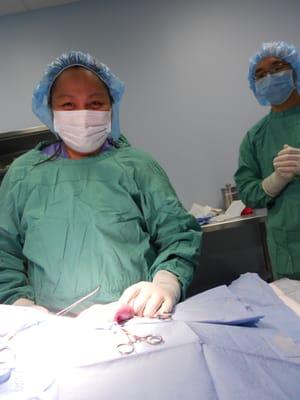 Dr. Armie and Dr. James on their Pyometra surgery. Performing all kinds of soft tissue surgery and emergencies