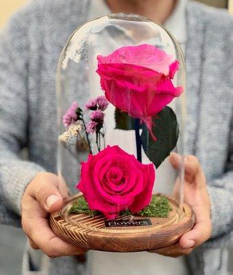 EVERLASTING ROSES | REAL ROSES CAREFULLY PRESERVED TO LAST MORE THAN 1 YEAR!