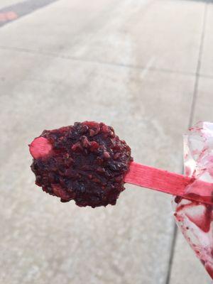 Blackberry popsicle