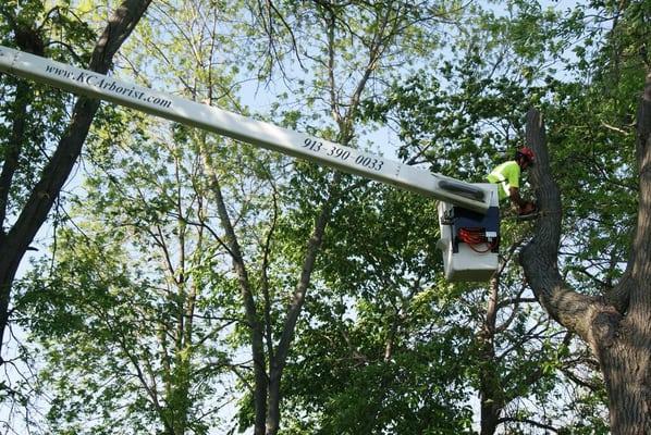 Bucket Truck in Action