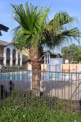 Inviting clubhouse and pool