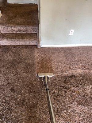 Carpet restoration cleaning.