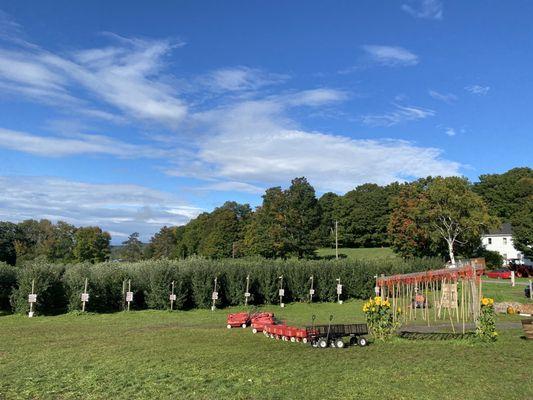 Beautiful orchard to go apple picking. Be sure to get some apple cider doughnuts and a jug of apple cider before you leave.