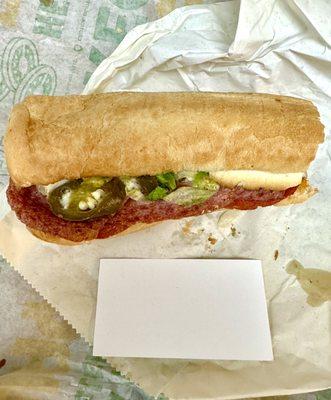 6" Sub is barely bigger than a business card I guess I could eat a footlong