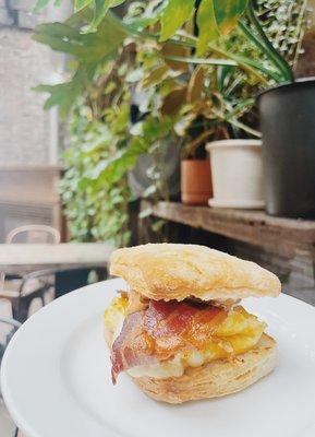 | EGG AND CHEESE BISCUIT + BACON |