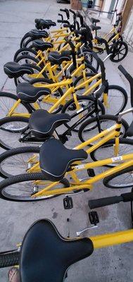 Bright yellow Beach cruisers waiting for you...