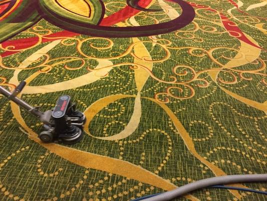 New Orleans Carpet Cleaning @ The New Orleans Marriott