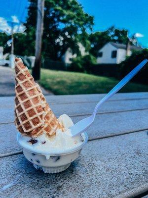 Pistachio Ice cream (Junior Size) with Waffle Cone