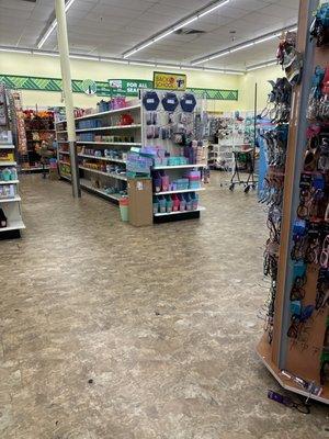 Dollar Tree