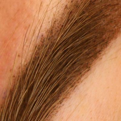 Close-up of Soft Edges on Powder Brow Shading Permanent Makeup