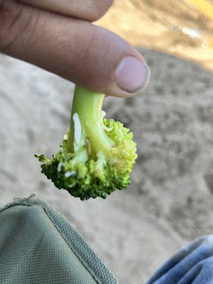 Brócoli that was in mg chicken bowl.