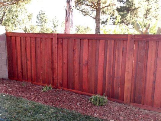 This is a portion of the new fence. He gave it two and in some places three coats.