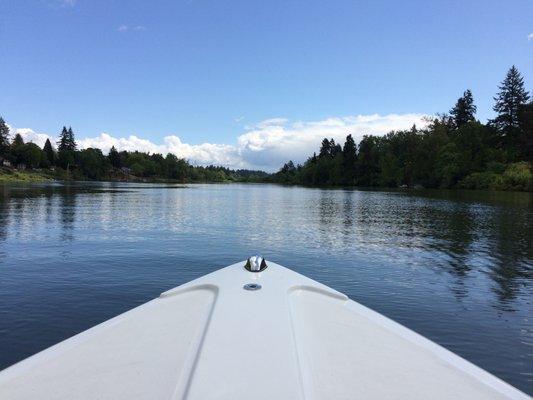 Cruising the beauty of the Willamette River