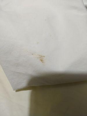 Poop stain on pillow!