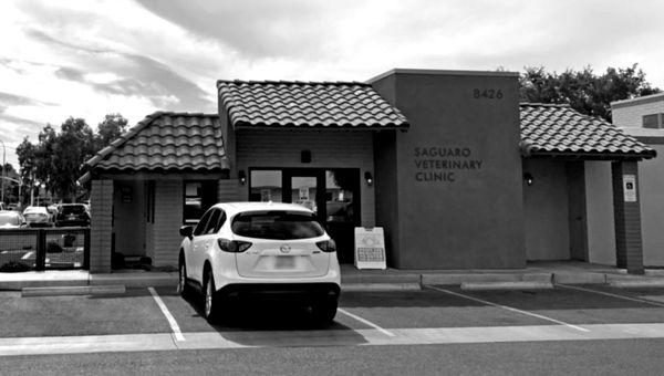 Saguaro Veterinary Clinic