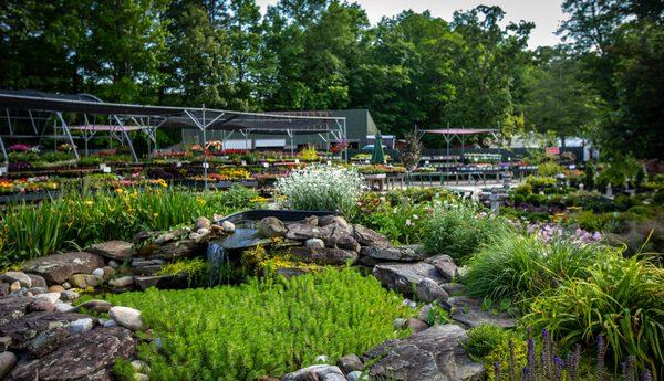 Ken Matthews Garden Center