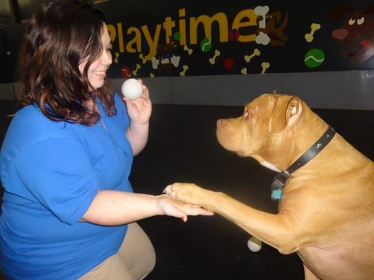 Jess and Diesel are working on "Paw".