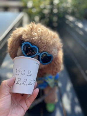 MeeNoi loves Moe for their pup cup