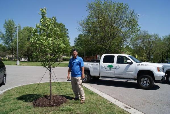 K C Arborist Tree Care