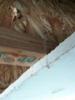 When Stratton was cutting my garage ceiling they cut my floor joist.