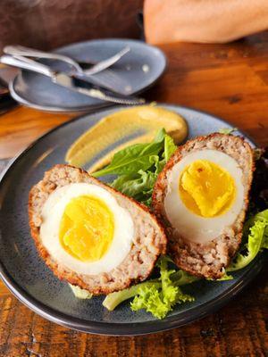 Scotch eggs