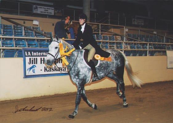 Little Davey competing in the 10k International Hunter Derby at LAEC