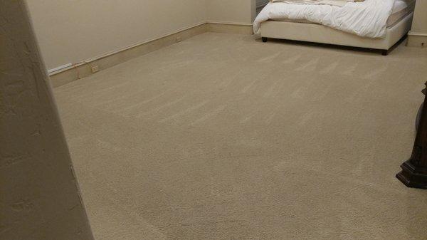 Master bedroom - dry carpet cleaning.