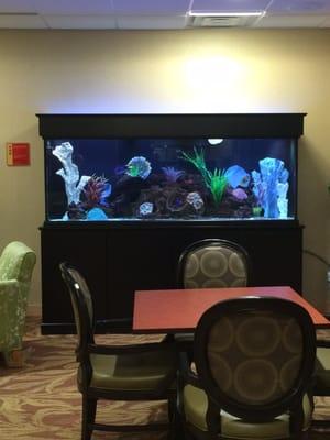 Salt water tank