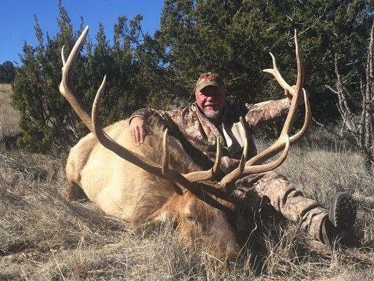 Trophy NM Bull