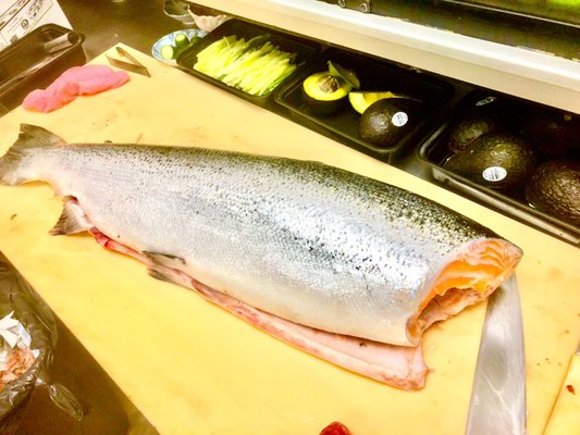 Fresh salmon came today!