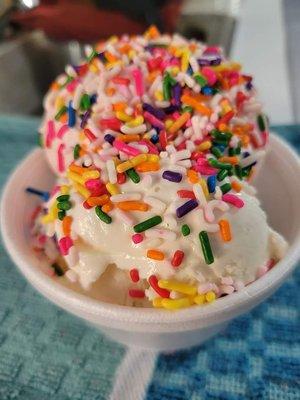 Vanilla Ice Cream with Sprinkles